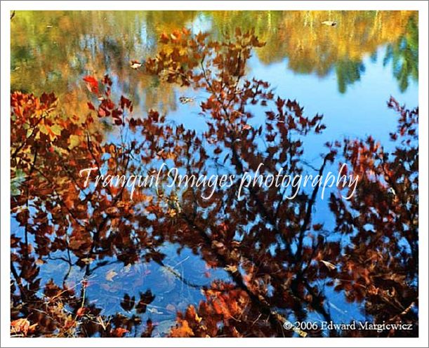 660121---REd leaf reflections on Council Lake, Hiawatha National Forest.